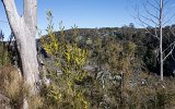 Blue Mountains Seilbahn (2)