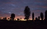Morgendämmerung am Uluru