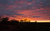 Morgendämmerung am Uluru (2)