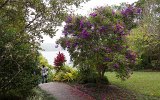 Tablelands Mar-See