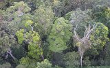 Tablelands Skyrail (5)