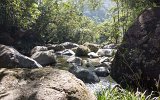 Daintree Mossman Gorge (3)