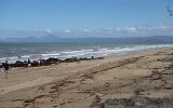 Daintree Strand