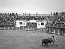 Les St. Maries de la Mer Stierkampf 15.08.1963