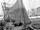 Savona Hafen 01.09.1964 (2)
