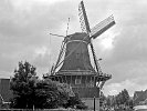 Windmühle in Holland 20.06.1962