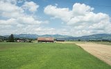 Landschaft am Zürichsee