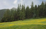 Berninaexpress Landschaft