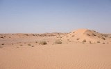 Dünen im Wadi Araba