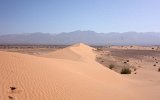 Dünen im Wadi Araba (2)