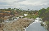 Tsavo Park Wasserlauf