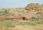 Tsavo Park Nashorn