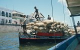 Lamu Hafen (2)