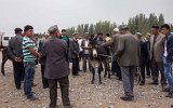 Viehmarkt von Kashgar (7)