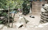 Macchu Picchu Kiosk